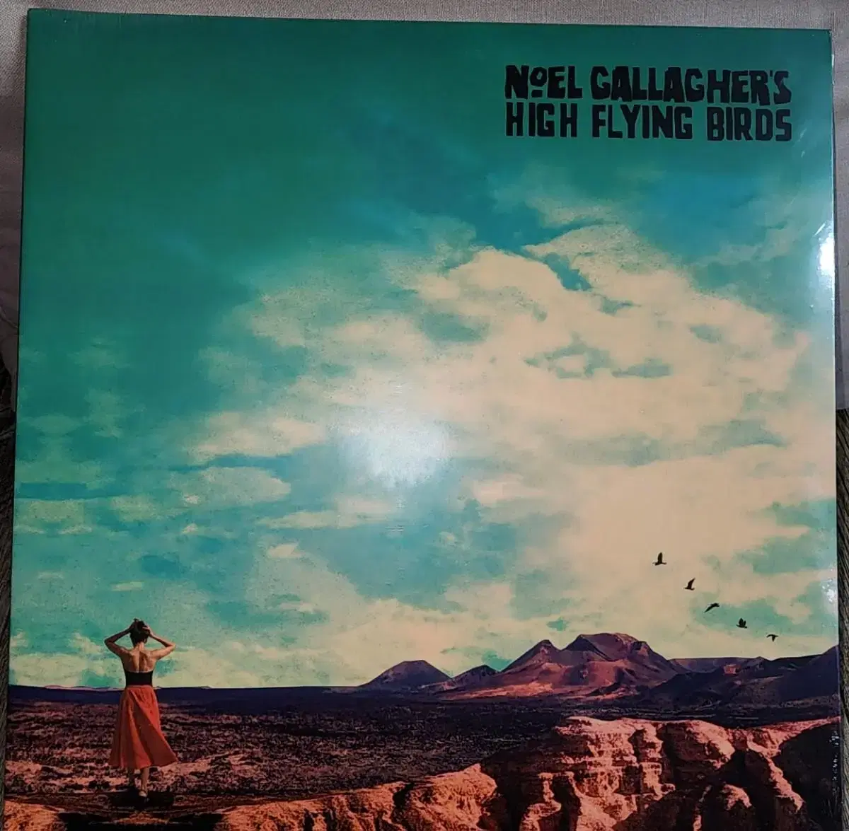 노엘갤러거 lp 엘피 noel gallagher's high flying